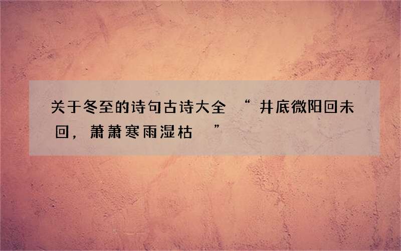 关于冬至的诗句古诗大全 &ldquo;井底微阳回未回，萧萧寒雨湿枯荄&rdquo;